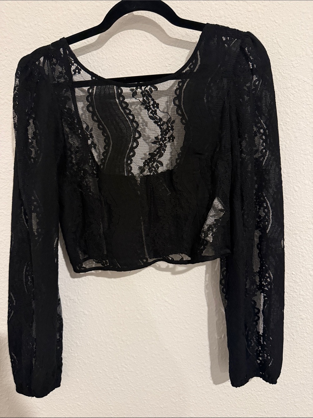 Forever 21 Black Sheer Lace Long-Sleeve Crop Top